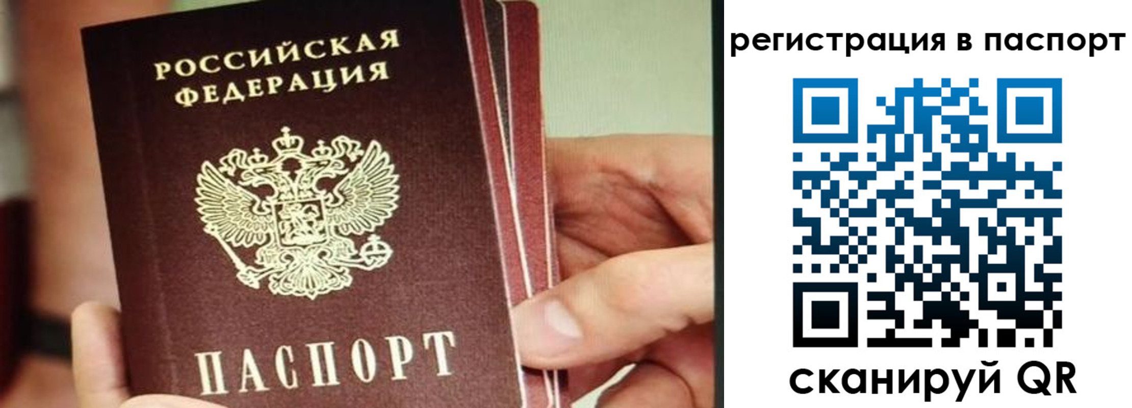 временная регистрация надежно в Новом Осколе